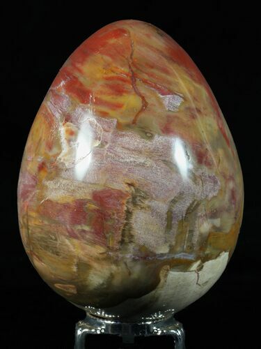 Colorful, Polished Petrified Wood Egg - Triassic #58515